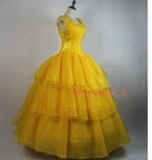 Cosplay Adult Princess Costume