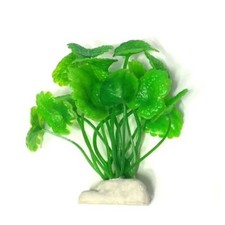 PIANTA 7 CM PIANTINA