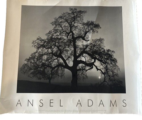 Stampa artistica ansel adams - artistica,