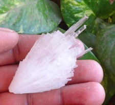 Campione Di Minerali Spray