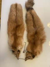 pelliccia volpe rossa