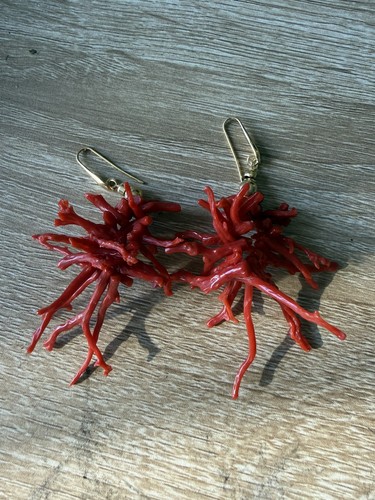 Orecchini frange corallo - a,