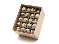 60 uova di quaglia soffiate di