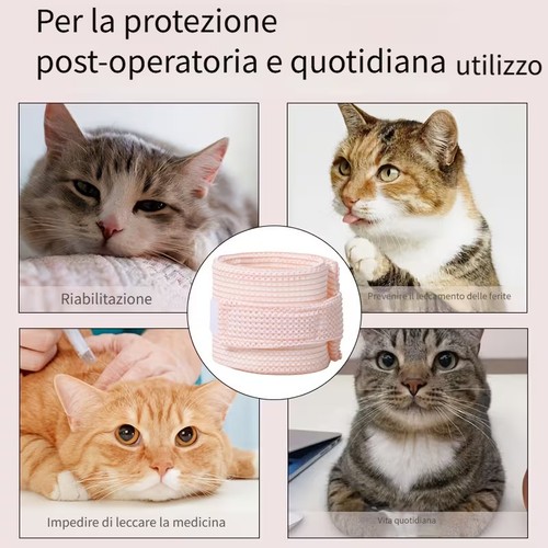Collare gatto regolabile abs - gatto,