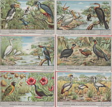 FIGURINE LIEBIG SERIE ITALIANA