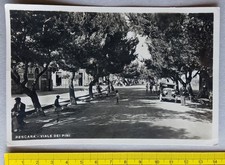 Pescara - viale dei Pini - vg