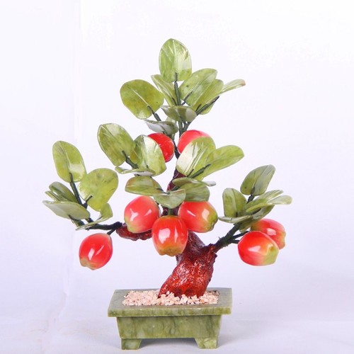 Bonsai giada cinese 10 - bonsai, di