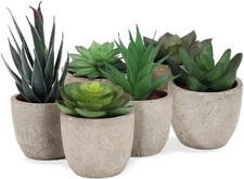 Set Di Piante Artificiali, 6