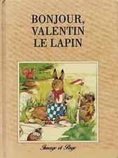 Bonjour, Valentin le lapin -