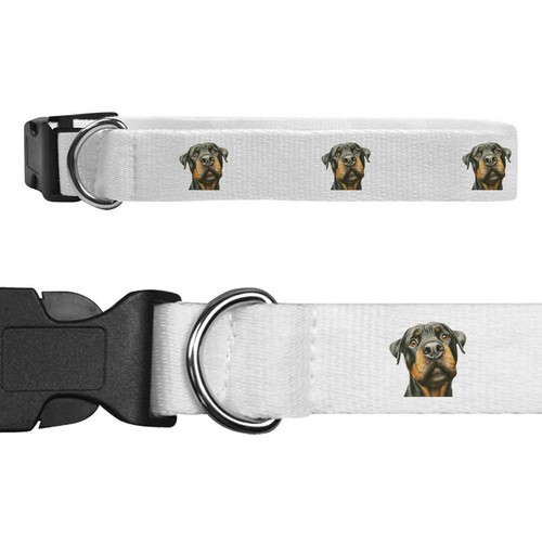 Collari per cani funny - collari, 'funny