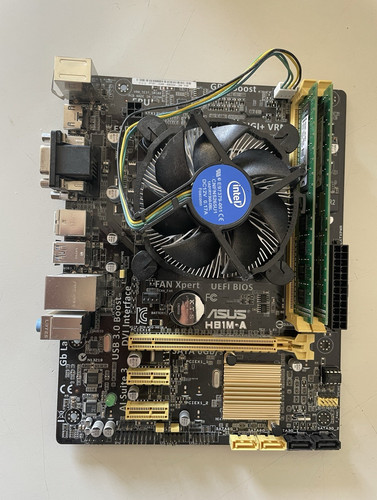 Scheda madre asus - madre, h81m-a