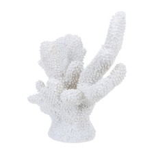  Decorazione Corallo Bianco -