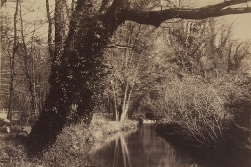 parc_de_courances__4X6_PHOTO
