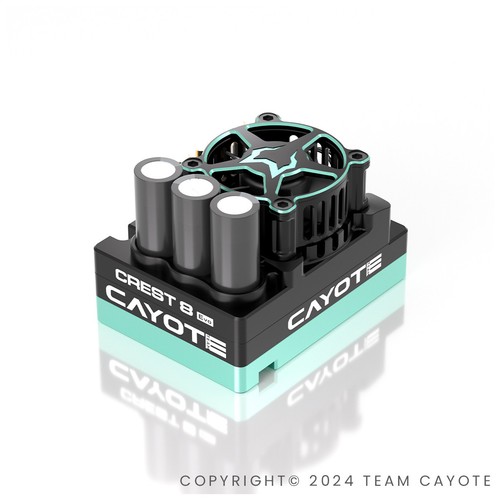 Cyea10802 cayote regolatore - cyea10802,