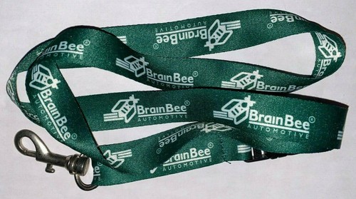 Brain bee automotive - brain,
