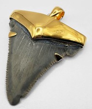 Ciondolo Dente di Squalo