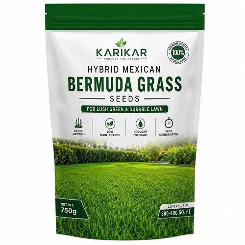 Semi erba bermuda - semi, messicana