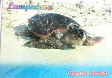 Cartolina LAMPEDUSA (AG) Isola