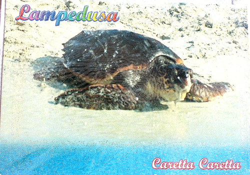 Cartolina lampedusa isola - cartolina, (ag)