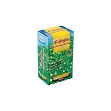 Semi Prato Trifoglio Bianco Nanissimo perenne rapida germinazione 500g