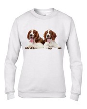 Gallese Springer Spaniel