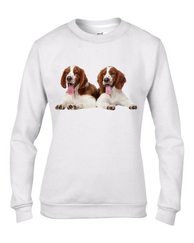 Gallese springer spaniel - gallese,