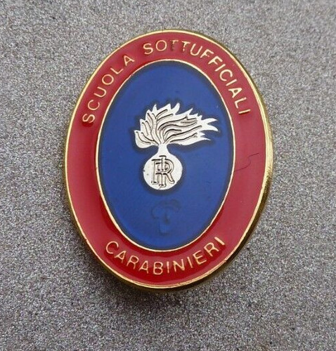 Distintivo smaltato scuola - cc,