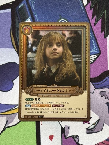 Harry potter hermione granger - potter,