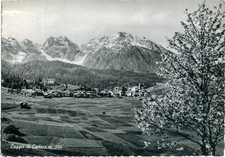LAGGIO DI CADORE BELLUNO Panorama annullo mess. Calalzo-Venezia