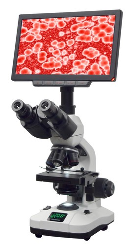 Trinoculare laboratorio - trinoculare,