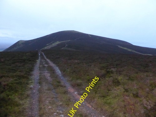 Photo 6x4 track scaut - photo,