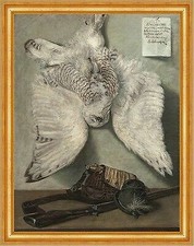 Snowy Owl Karel Purkyne gufo