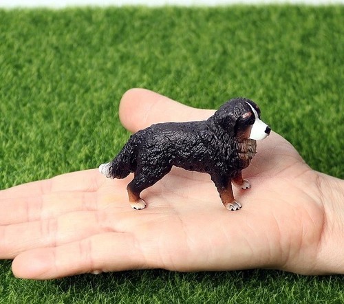 Bernese mountain dog animale - bernese,