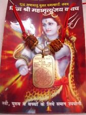 CIONDOLO SHIV SHAKTI RUDRAKSHA