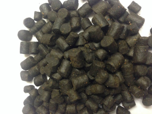 Pellet premium storgeon - pellet,
