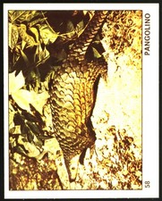 Il mondo degli ANIMALI (1970)