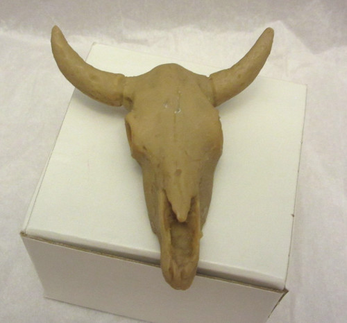 Scultura teschio mucca