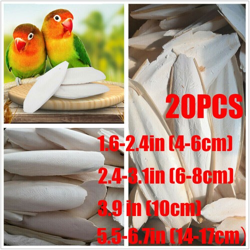 20pcs taglebone uccelli - taglebone,