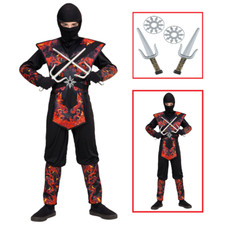 VESTITO CARNEVALE + ACCESSORI