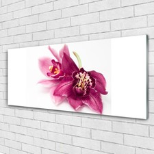 Print on Glass Wall art 125x50