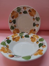 RICHARD GINORI MONDOVÌ FIORI GIALLI 2 PIATTI FONDI PAOLA GIÓ PONTI VINTAGE