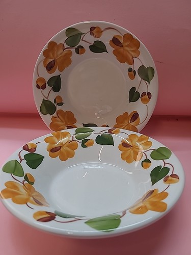 Richard ginori mondovì - mondovÌ, fiori