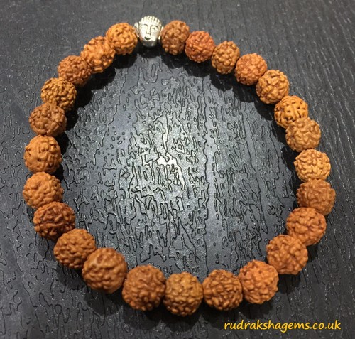 Rudraksha buddha budha - buddha,