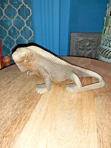 Iguana legno suar - iguana, in