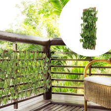  Recinzione siepi fogliare