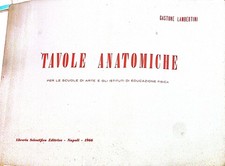 Tavole anatomiche