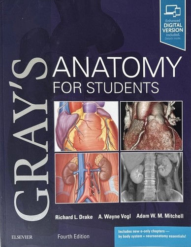 Gray anatomy ser s - gray's,