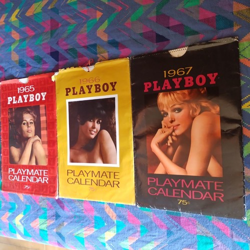 Calendari playboy anni - calendari,