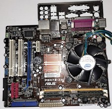 Scheda Madre Asus P5N73-AM con