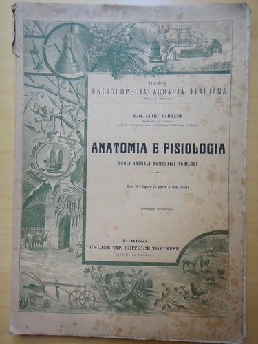 1924 anatomia fisiologia - e,